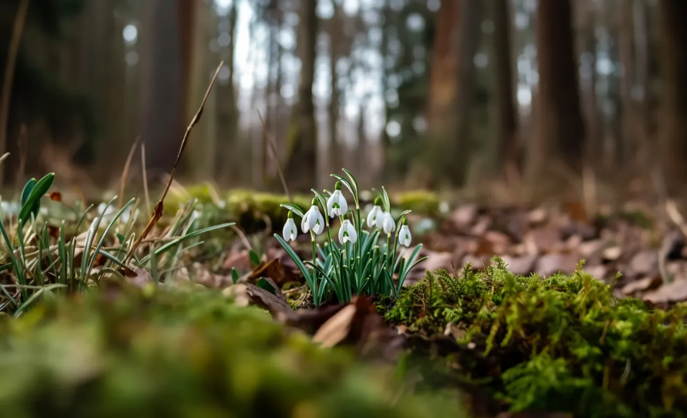 Numeri Easter office hours